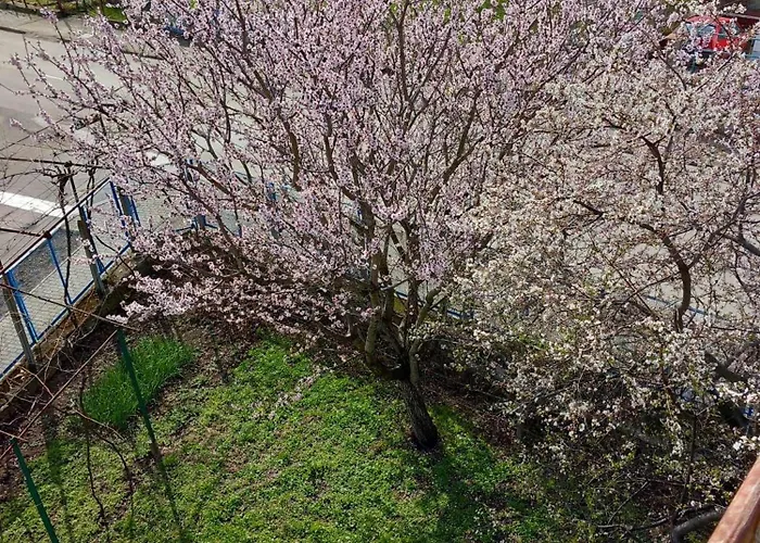 лятна генчеви град *